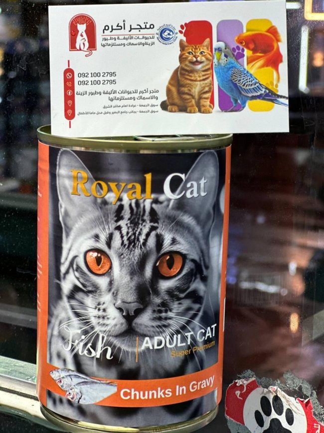 بنكهة السمك Royal Cat علبة AK-015